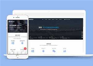 互联网信息化服务网站前端模板下载 - 选优云网创