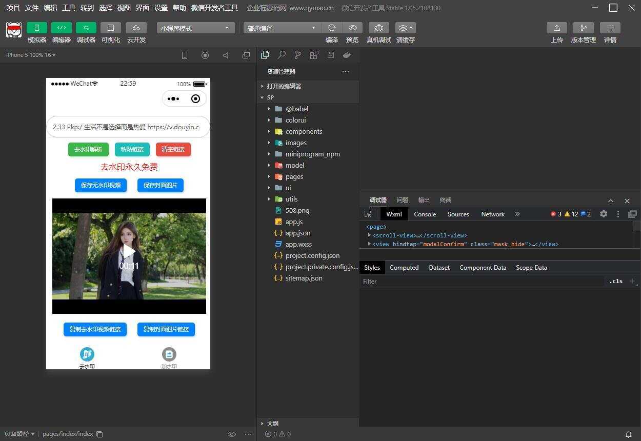 短视频去水印和图片加水印生成微信小程序源码 - 选优云网创
