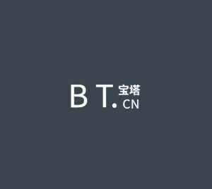 BT面板静态文件镜像库v7.1.1 - 选优云网创
