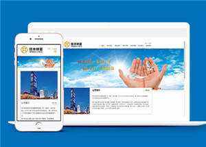 大气财富管理企业网站模板源码下载 - 选优云网创