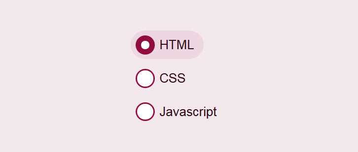 css3美化单选按钮点击选中动画特效 - 选优云网创
