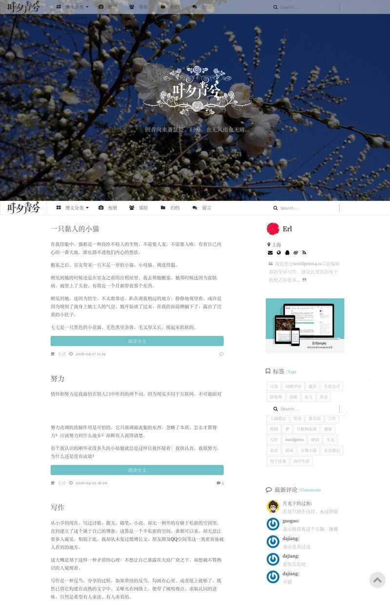 wordpress极简优秀的博客主题–ErlSimpleV1.5主题 - 选优云网创