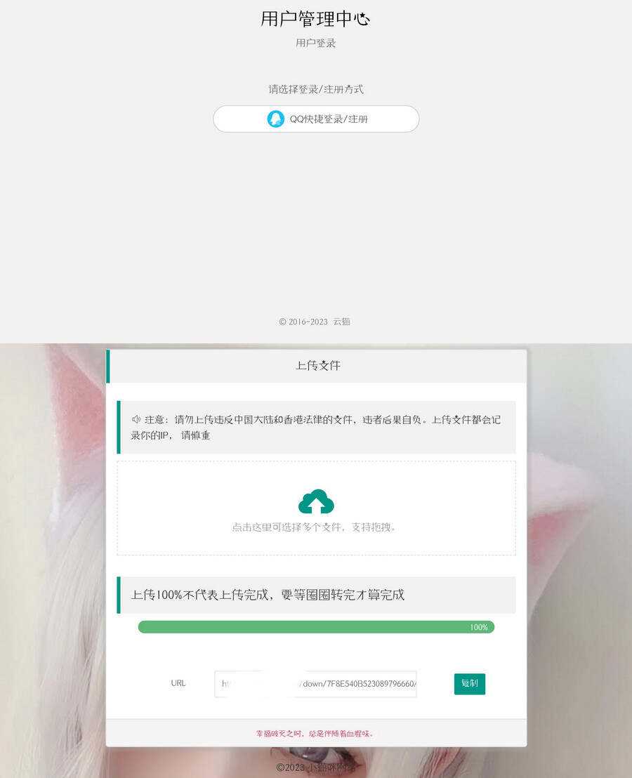 带后台的简洁网盘源码小猫咪网盘V1.3 - 选优云网创