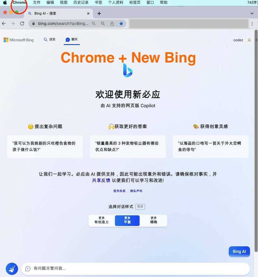 微软New Bing完美聊天机器人源码，支持ChatGPT提示词 国内可用，基本兼容微软 Bing AI 所有功能 - 选优云网创