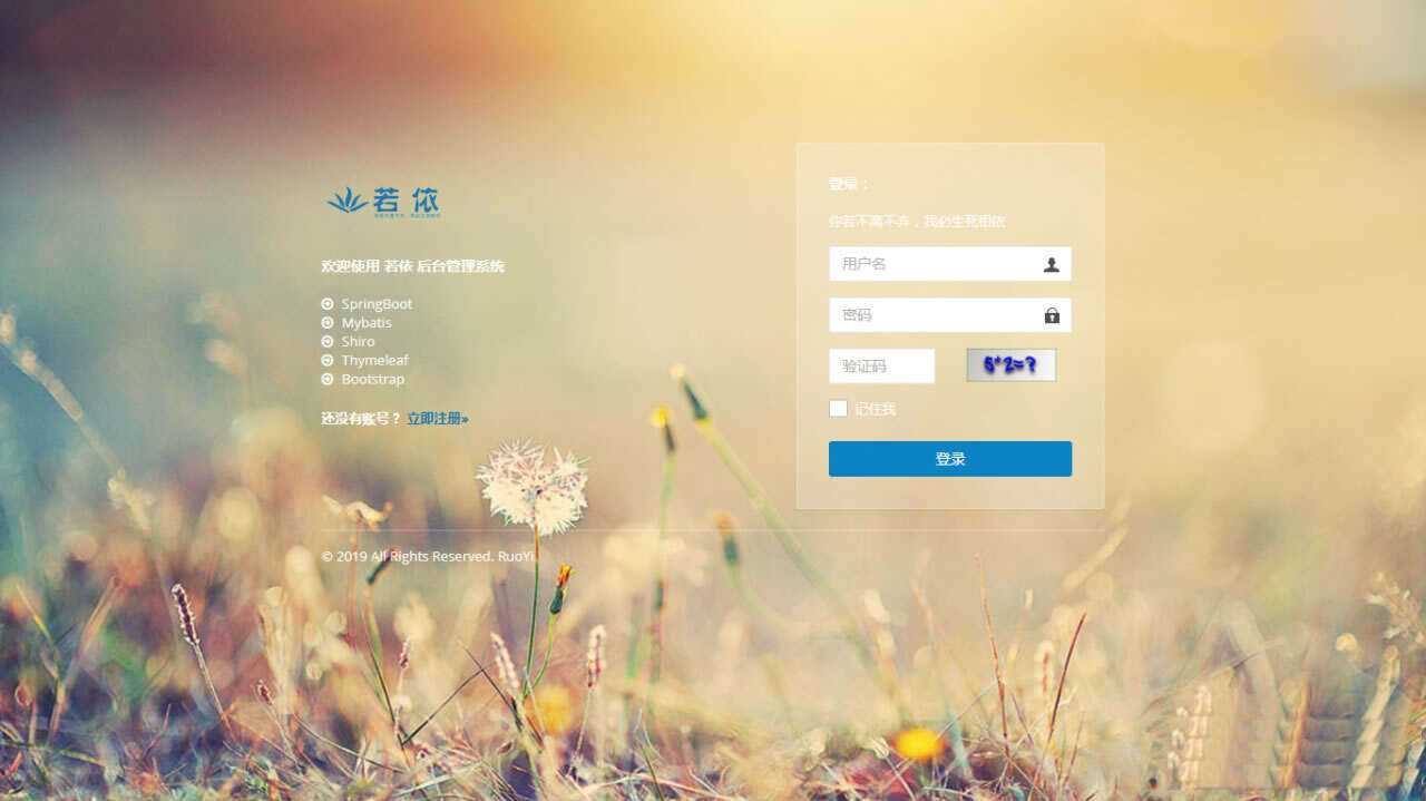 图片[4] - RuoYi若依管理系统最新版 基于SpringBoot的权限管理系统 - 选优云网创