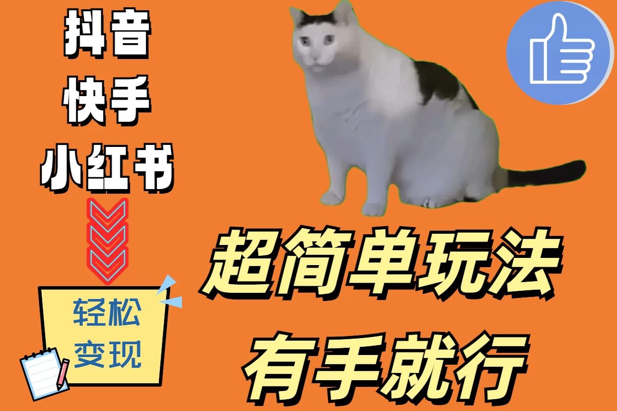 超简单玩法，有手就行，靠猫咪视频日入500+ - 选优云网创