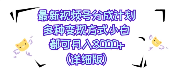 视频号创作者分成计划，多种变现方式，选择适合你领域赛道，小白轻松月入8000+（详细版） - 选优云网创