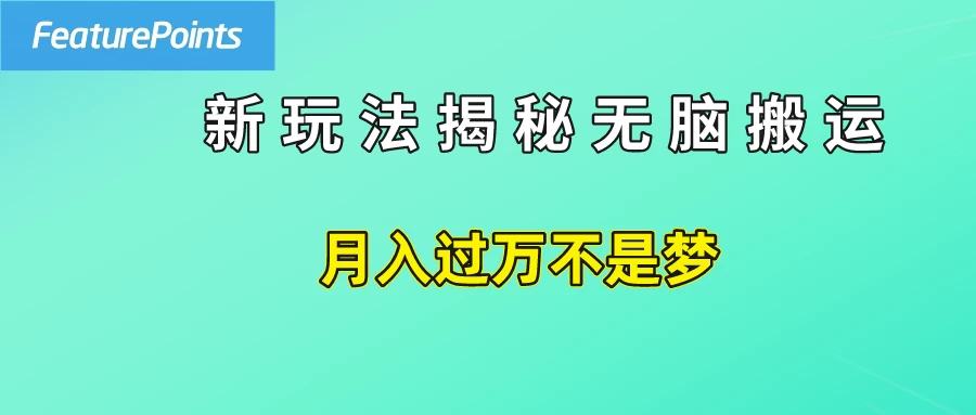 简单操作,每天50美元收入,搬运就是赚钱的秘诀! - 选优云网创