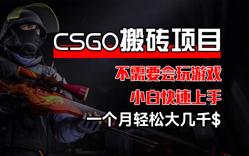 CSGO 装备搬砖项目，操作简单，不需要会玩游戏，小白也能快速上手，一个月轻松大几千 - 选优云网创