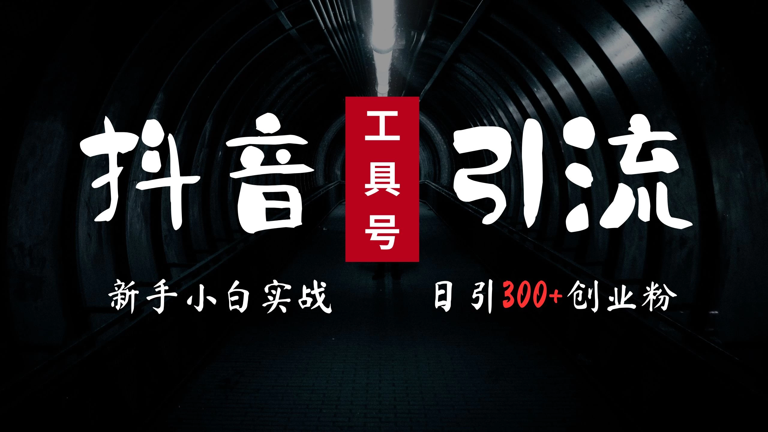 2024最新抖音工具号引流玩法，高效日引300+创业粉，当天变现5000+，小白也可成为实战高手 - 选优云网创