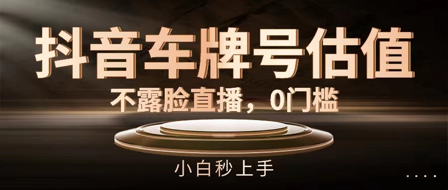 抖音车牌号估值，不露脸直播，0门槛，小白秒上手 - 选优云网创
