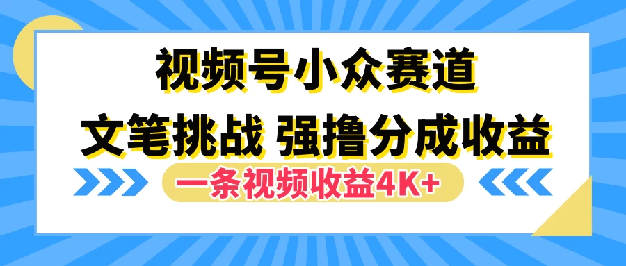 视频号小众赛道，文笔挑战，一条视频收益4K+ - 选优云网创