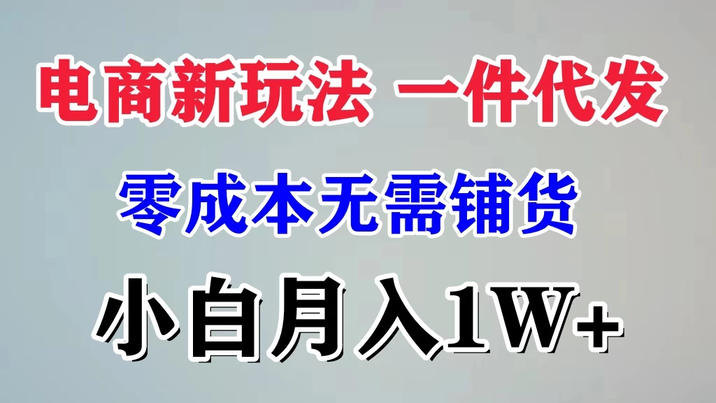 电商新玩法，一件代发，零成本无需铺货，小白月入1W+ - 选优云网创