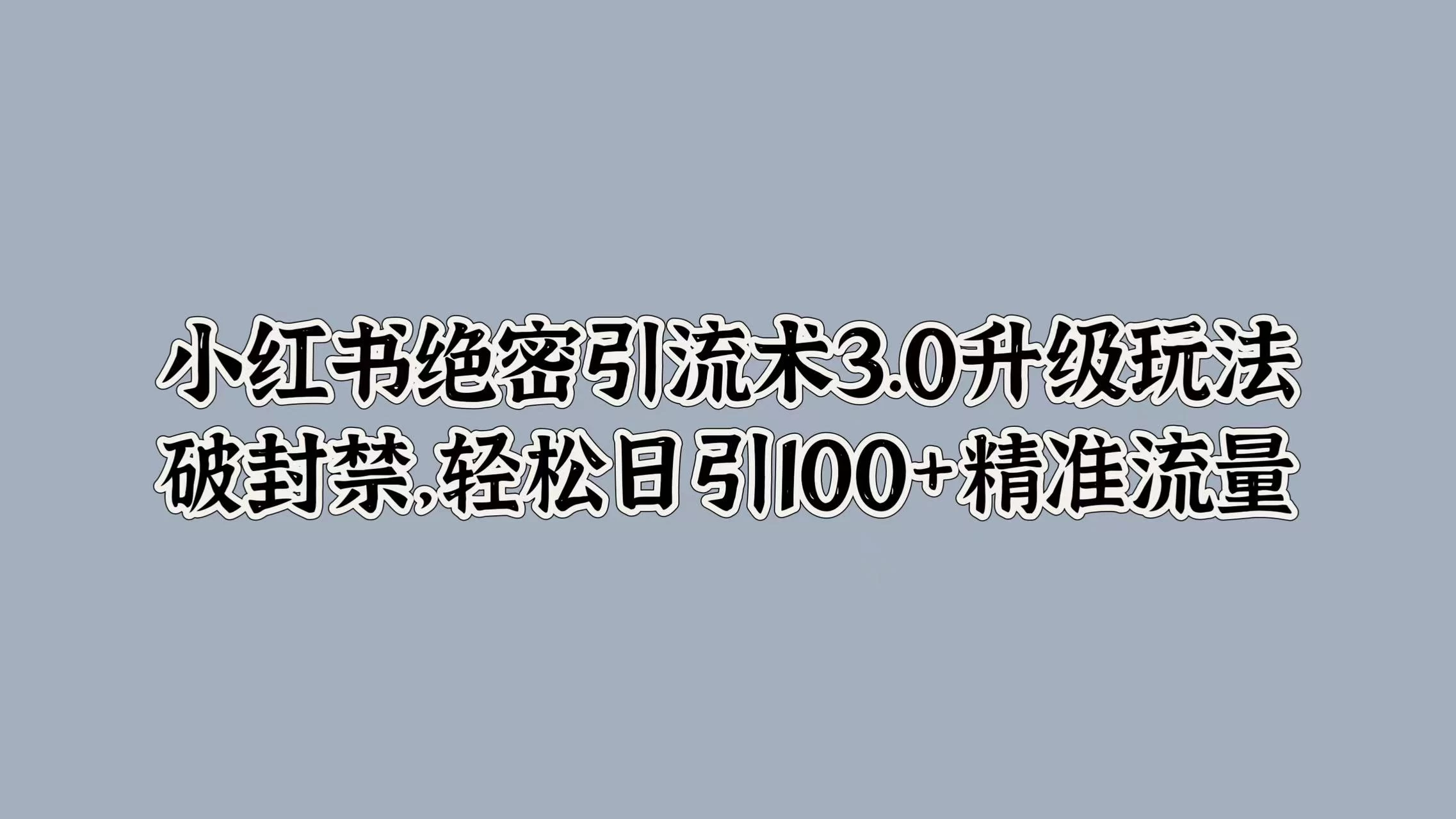 小红书绝密引流术3.0升级玩法，破封禁，轻松日引100+精准流量 - 选优云网创