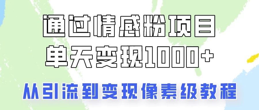 关于情感粉变现项目，我是怎么做到单天赚1000+的？从引流到变现像素级教程 - 选优云网创