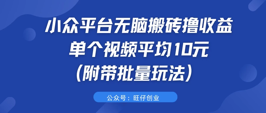 小众平台无脑搬砖撸收益，单个视频平均10元 (附带批量玩法） - 选优云网创