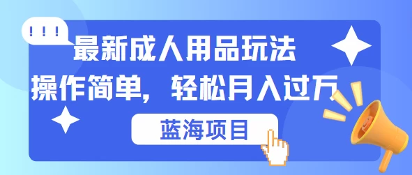 最新成人用品项目玩法，操作简单，蓝海项目轻松月入过万 - 选优云网创