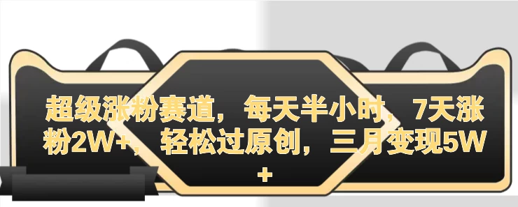 超级涨粉赛道，每天半小时，7天涨粉2W+，轻松过原创，三月变现5W+ - 选优云网创