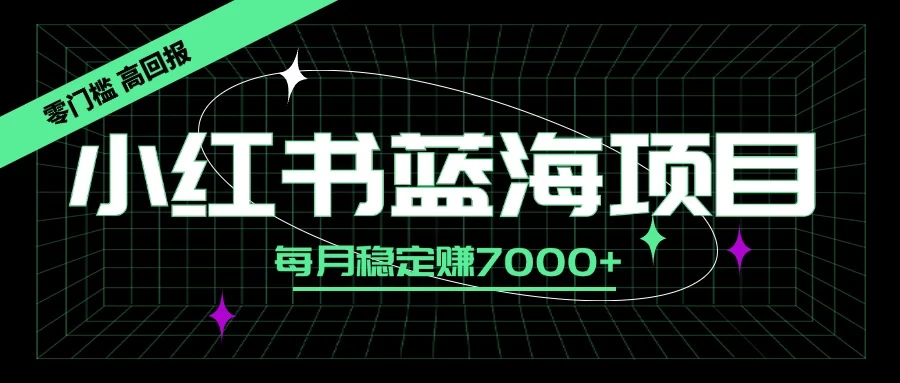 小红书蓝海项目，零门槛、高回报，每月稳定赚7000+ - 选优云网创