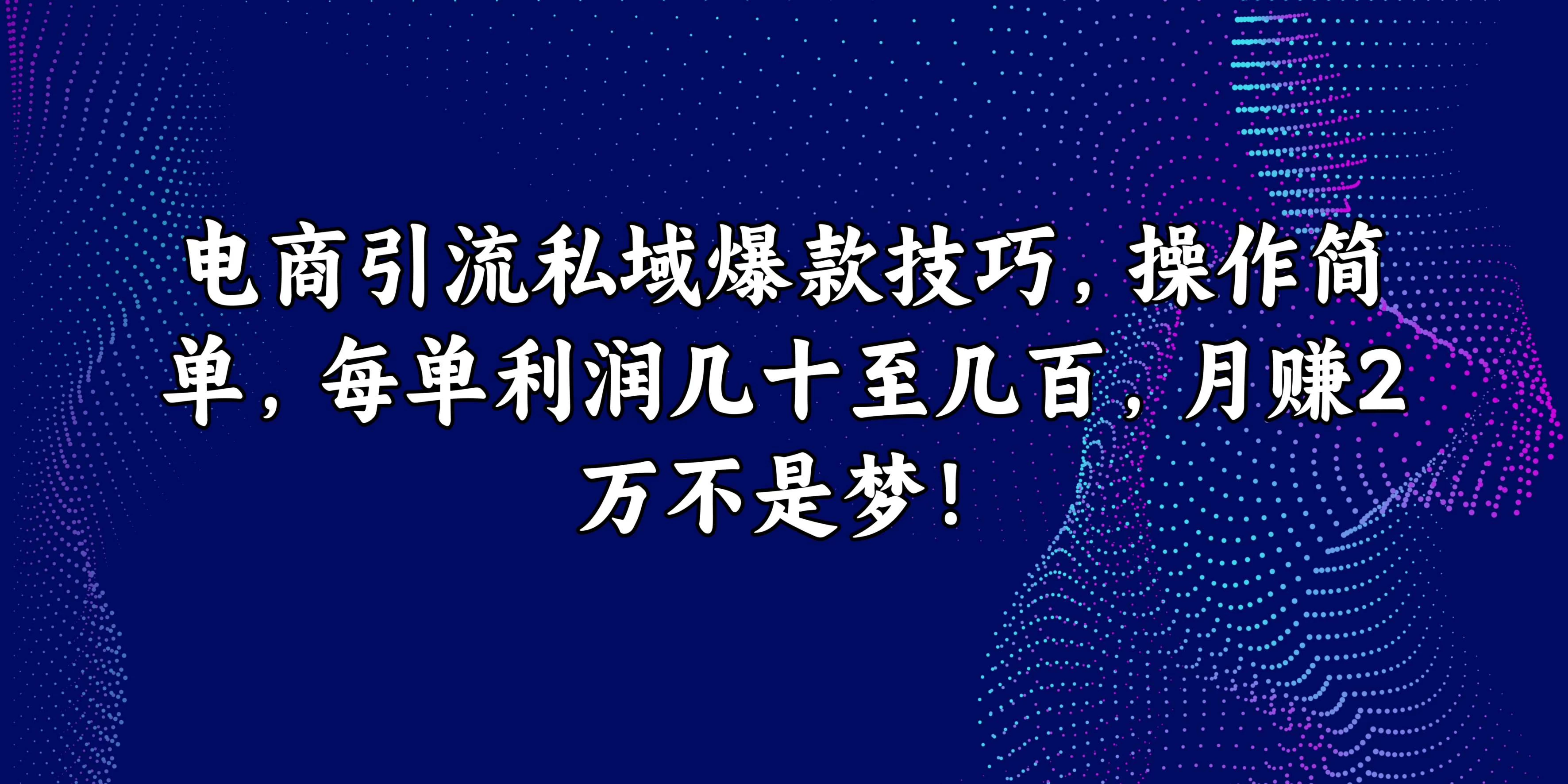 电商引流私域爆款技巧，操作简单，每单利润几十至几百，月赚2万不是梦！ - 选优云网创