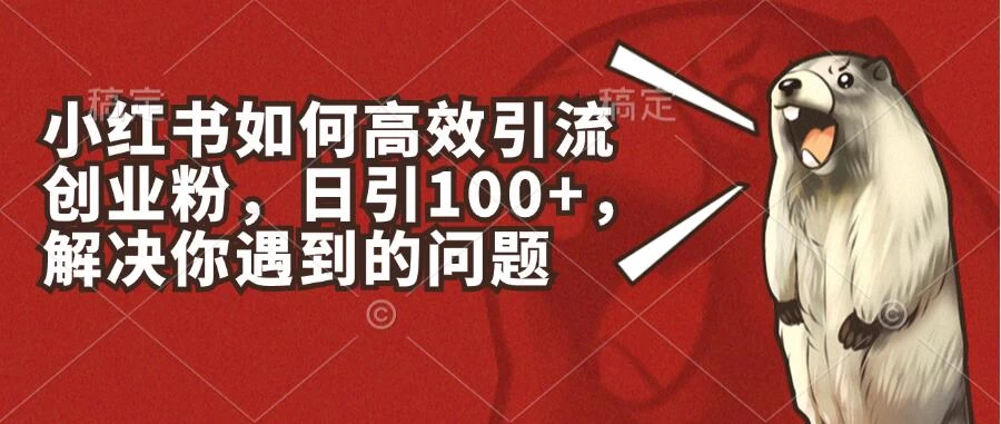 小红书如何高效引流创业粉，日引100+，解决你遇到的问题 - 选优云网创