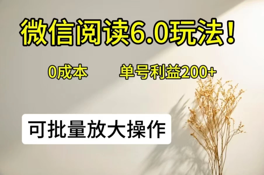 微信阅读6.0玩法！0撸，单号利益200+，可批量放大操作 - 选优云网创
