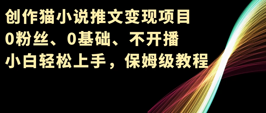 小说推文变现项目，0粉丝、0基础、不开播、小白轻松上手，保姆级教程 - 选优云网创