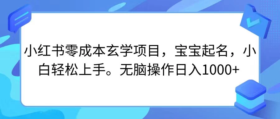 小红书零成本玄学项目，宝宝起名，小白轻松上手，无脑操作日入1000+ - 选优云网创