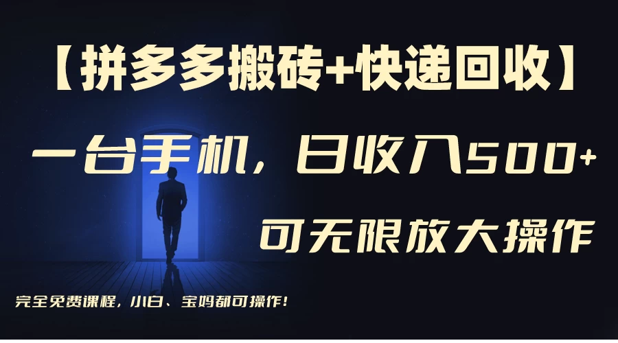 拼多多搬砖+快递回收，日入500+，多号矩阵收益无上限 - 选优云网创