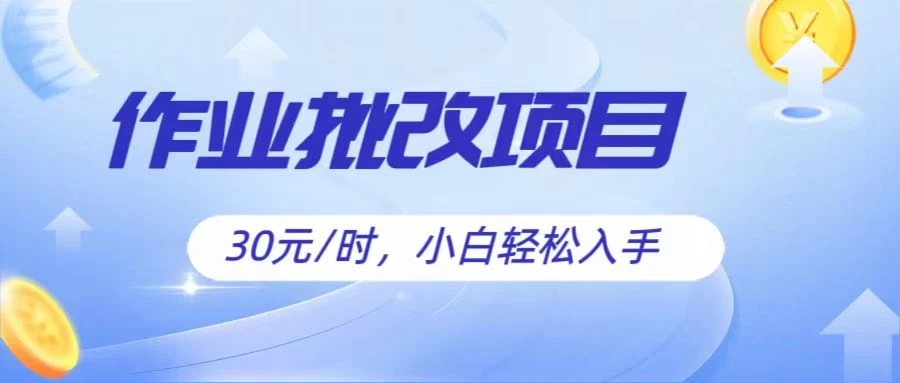 作业批改项目30元/时，小白轻松入手，非常的简单 - 选优云网创