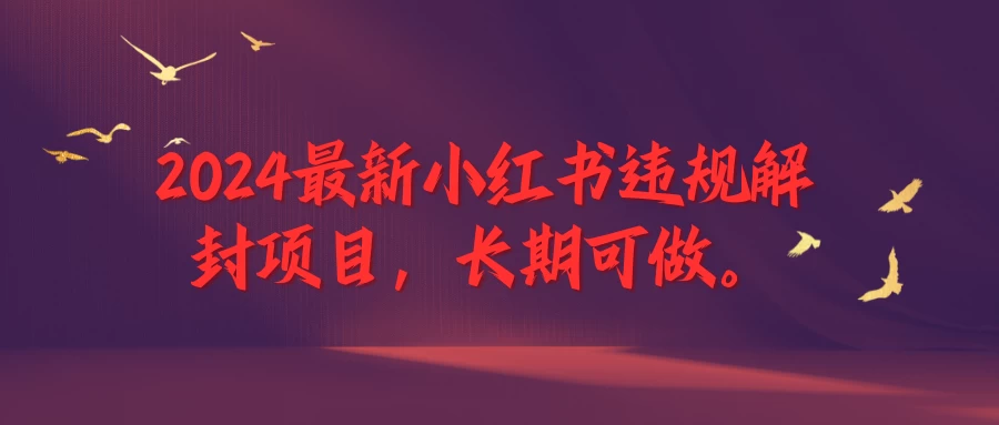 2024最新小红书违规解封项目，一个可以做到退休的项目 - 选优云网创