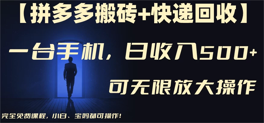拼多多搬砖+快递回收,日入600+,可多号矩阵收益无上限 - 选优云网创
