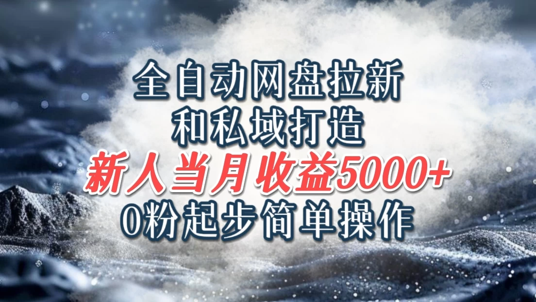 全自动网盘拉新和私域打造，0粉起步简单操作，新人入门当月收益5000以上 - 选优云网创