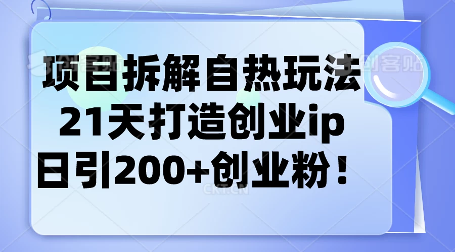 项目拆解自热玩法，21天打造创业IP，日引200+创业粉 - 选优云网创