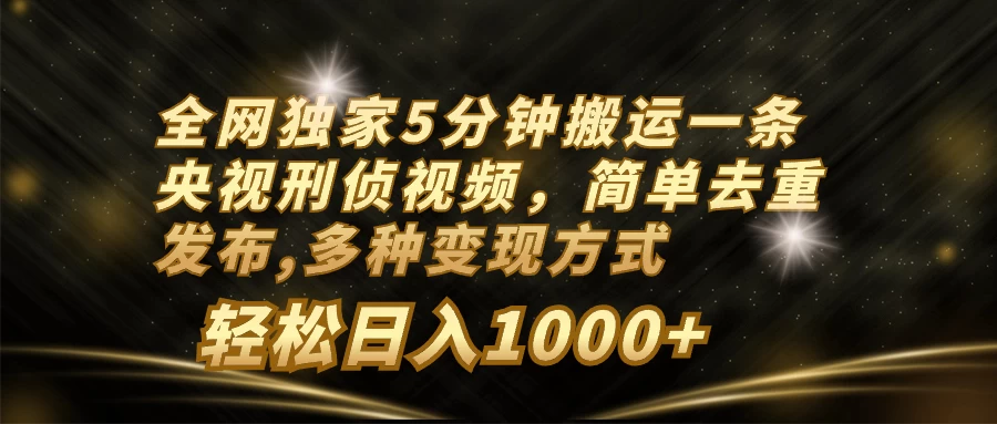 全网独家5分钟搬运一条央视刑侦视频，简单去重发布，多种变现方式，轻松日入1000+ - 选优云网创