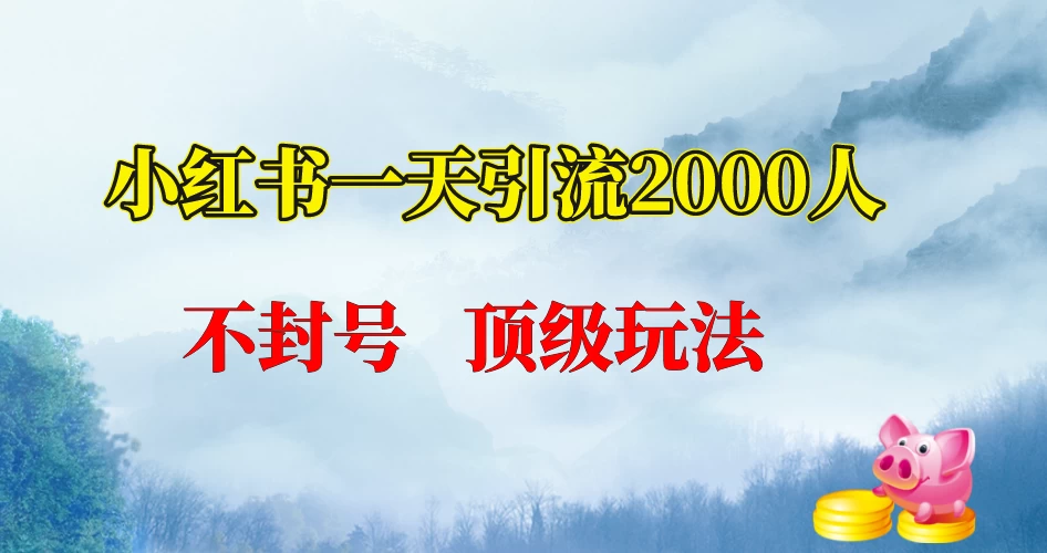 小红书一天加2000人，不封号，顶级玩法 - 选优云网创