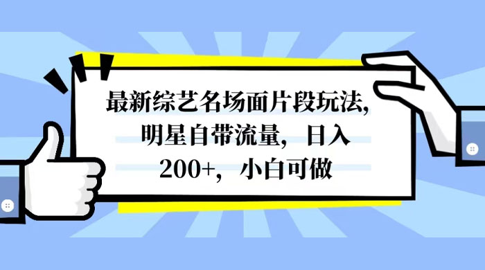最新综艺名场面片段玩法，明星自带流量，日入200+，小白可做 - 选优云网创