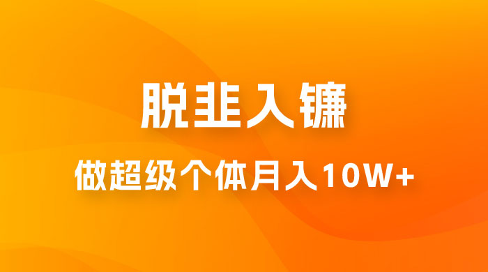 脱韭入镰，通过做「超级个体」月入 10w+，普通人实现阶层跨越的最优解 - 选优云网创