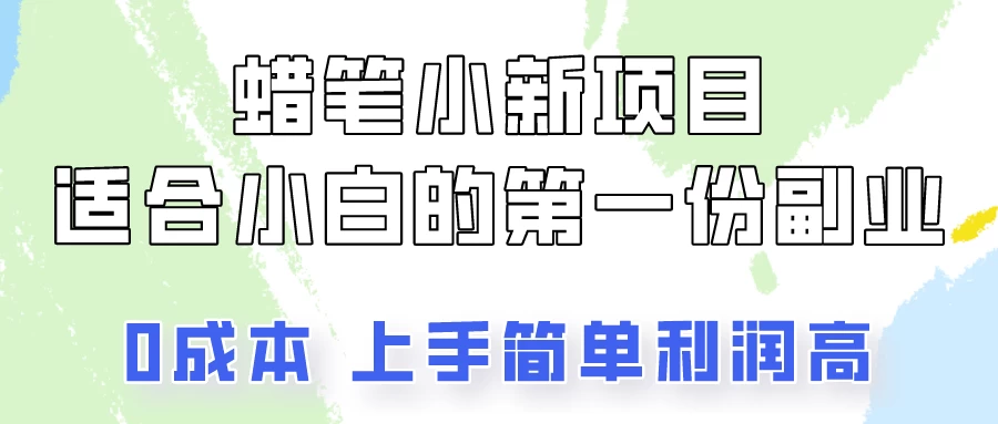 蜡笔小新项目拆解，小白一个月也能多赚3000+ - 选优云网创