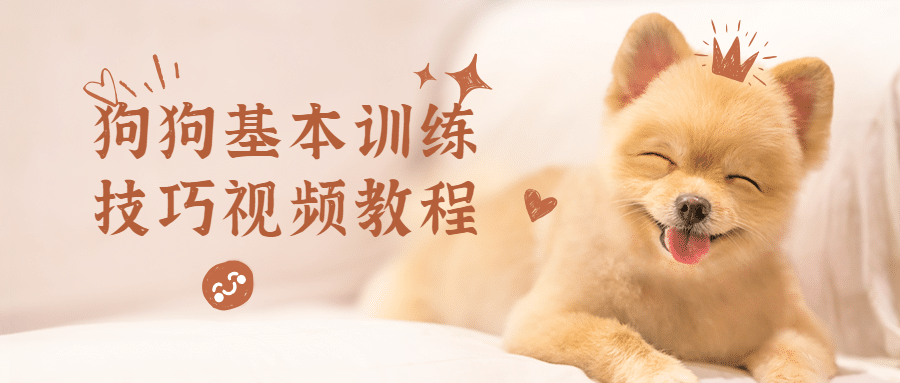 狗狗基本训练技巧视频教程 - 选优云网创