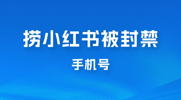 捞小红书被封禁手机号，小红书被封号禁言账号手机换绑 - 选优云网创