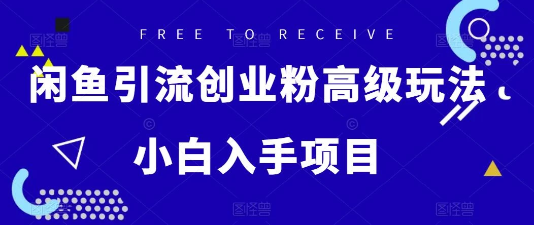 闲鱼引流创业粉高级玩法，单日引流200+，稳定收益2000+，小白入手项目 - 选优云网创
