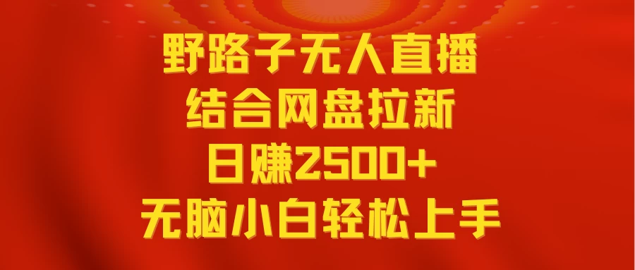 无人直播野路子结合网盘拉新，日赚2500+多平台变现，小白无脑轻松上手操作 - 选优云网创