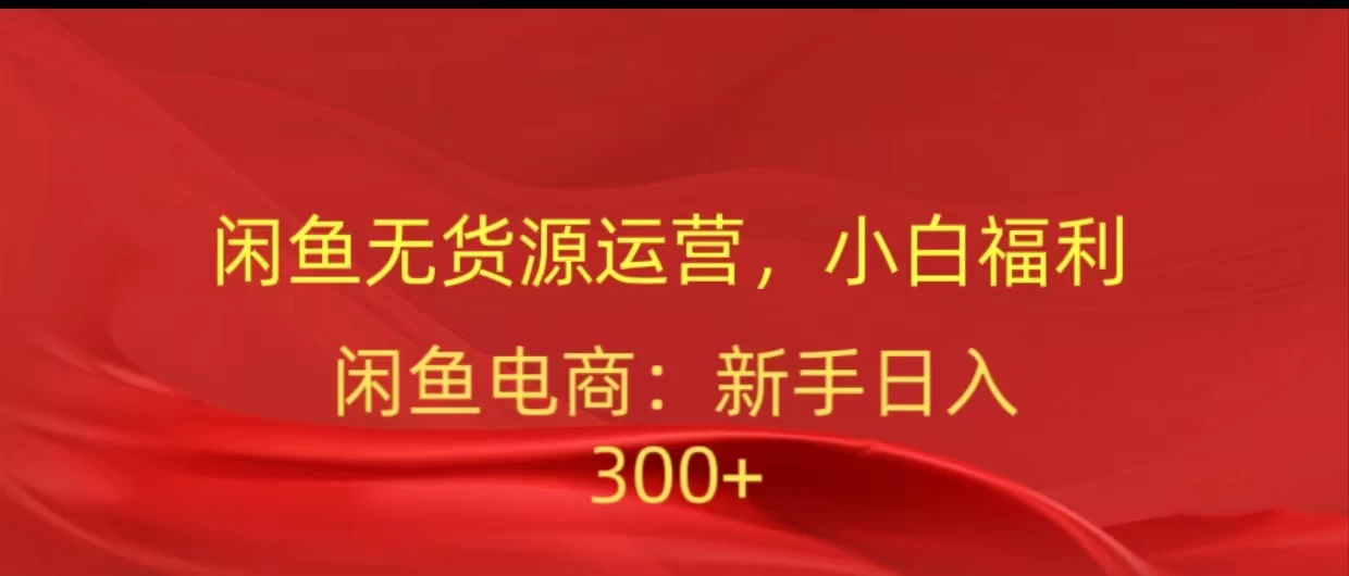 闲鱼无货源运营，小白福利，日入300+，轻松月入过万！ - 选优云网创