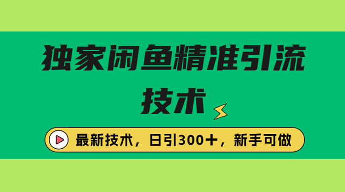 独家闲鱼引流技术，日引 300+ 实战玩法 - 选优云网创