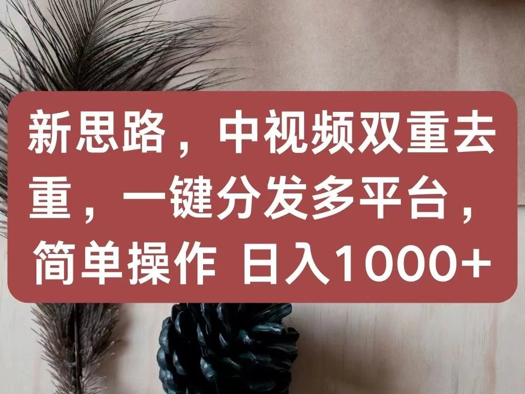 新思路，中视频双重去重，一键分发多平台，简单操作，日入1000+！快来试试吧！ - 选优云网创