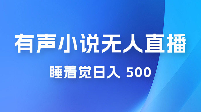 有声小说无人直播，睡着觉日入 500，保姆式教学 - 选优云网创