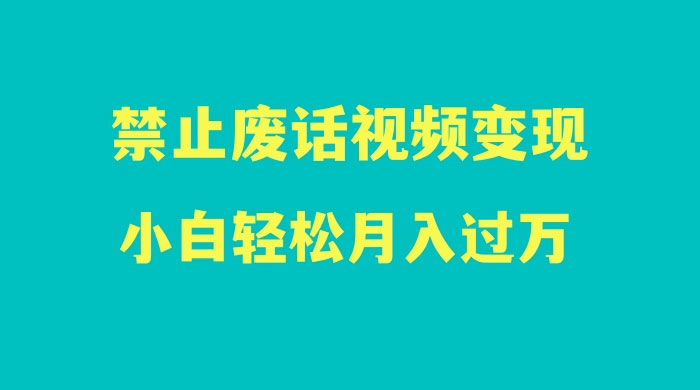最新蓝海项目，靠禁止废话视频变现，一部手机，小白轻松月入过万！ - 选优云网创