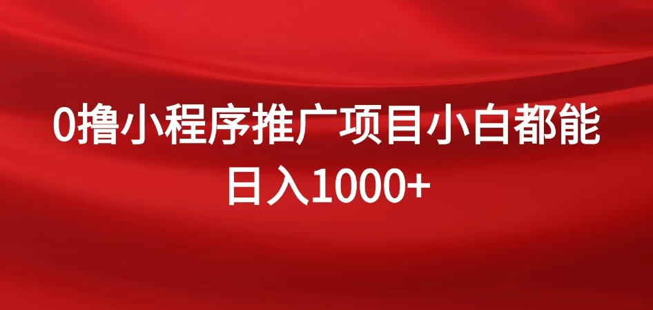 0撸小程序推广项目,日入四位数,零基础小白也能做 - 选优云网创