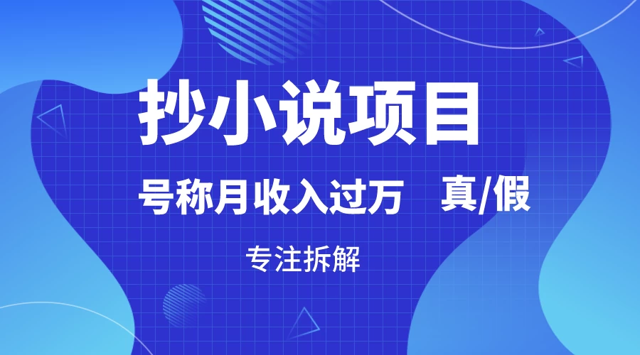 抄小说项目，号称月入过万，到底是否真实，能不能做，详细拆解 - 选优云网创